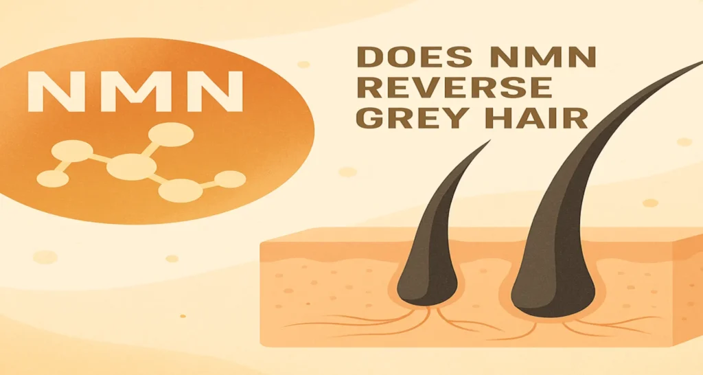Does NMN Reverse Grey Hair